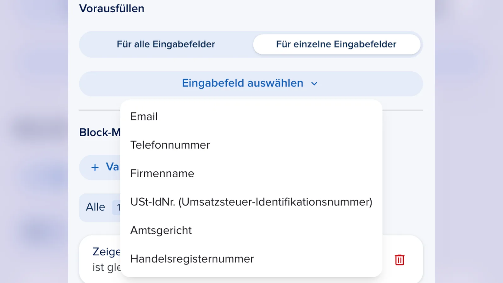 vf-09-firmendaten-einzelne-felder.png