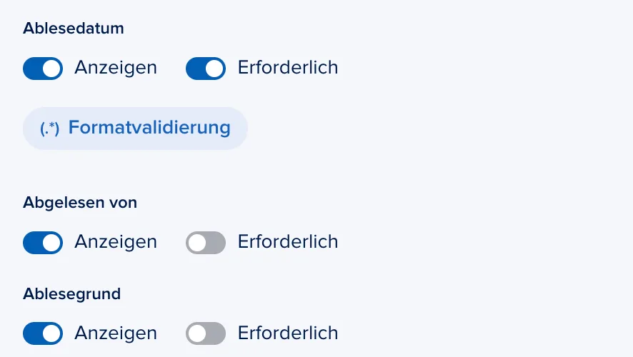 zaehlerstandsablesung-05-ablesung.png