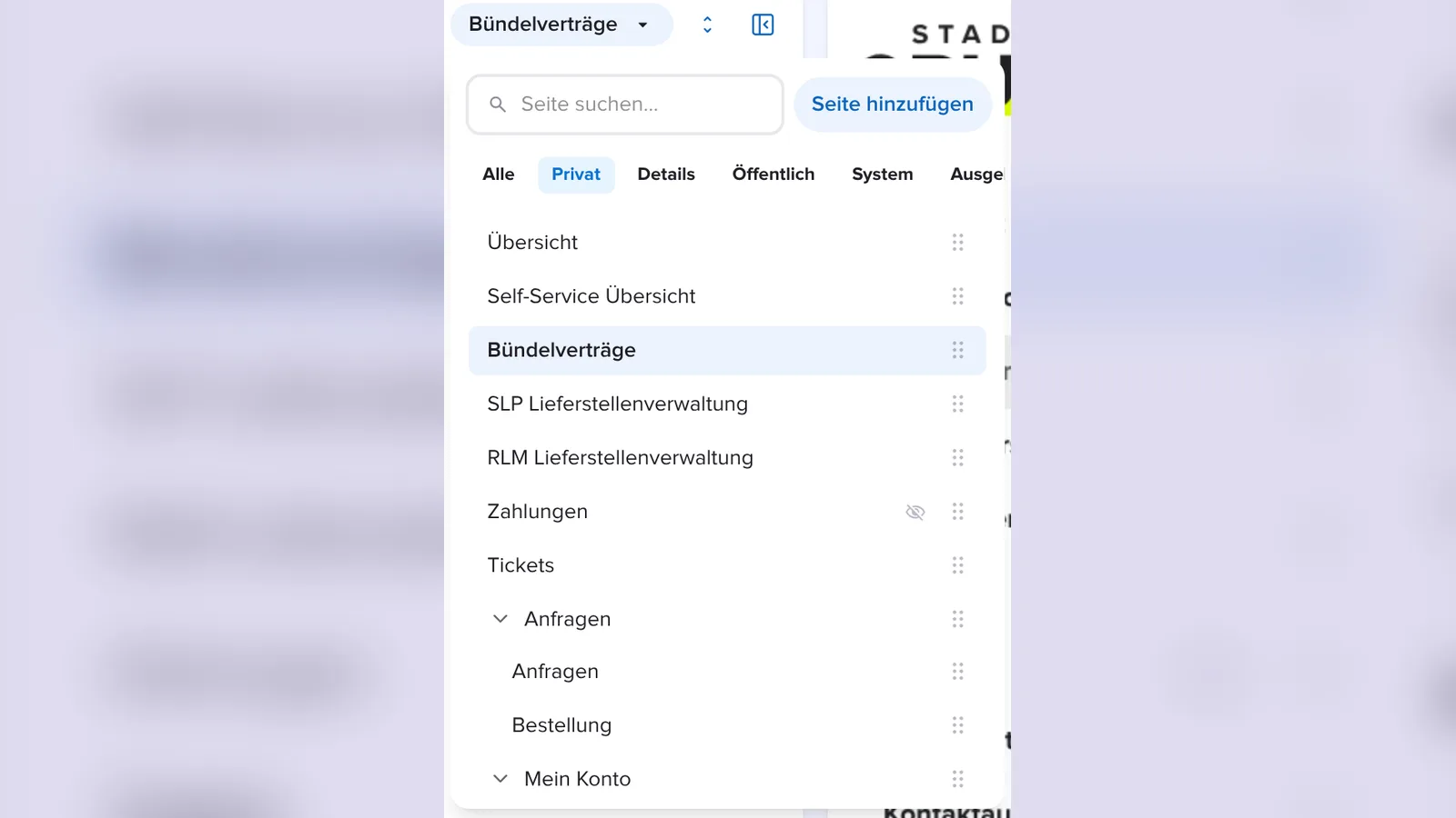 seitentypen-01-seitenauswahl-privat.png