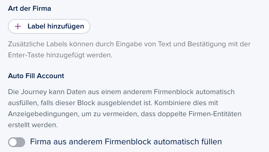 firma-04-art-der-firma.png